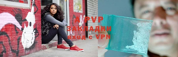 амф Алексин