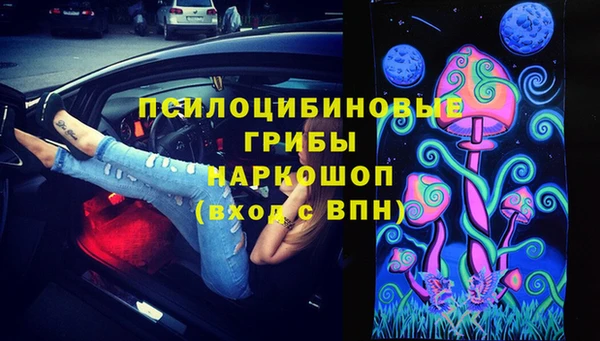 амф Алексин