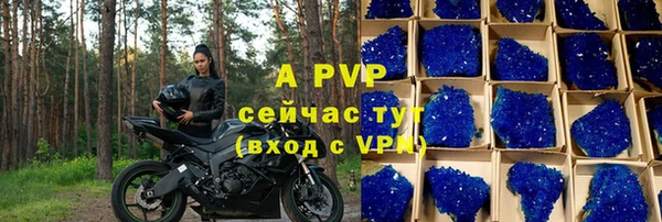 стаф Новокубанск