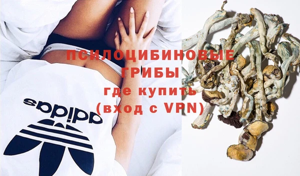 шишки Алексеевка