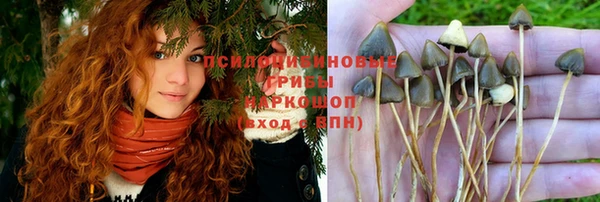 шишки Алексеевка