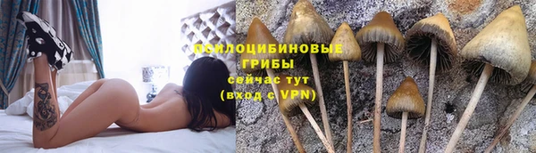 амф Алексин